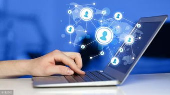 互聯(lián)網(wǎng)高利潤項(xiàng)目聚焦 網(wǎng)絡(luò)技術(shù)服務(wù)的前景與方向